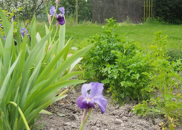 Semesterbostad Maison Tombelaine Vains