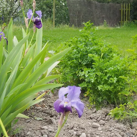 Casa de Férias Maison Tombelaine Vains