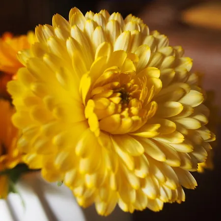 Maison Tombelaine Casa de Férias *