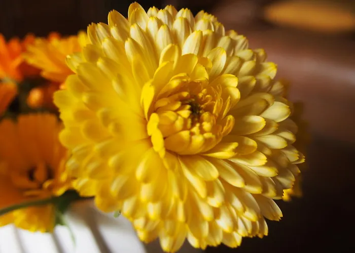 Maison Tombelaine 別荘 *