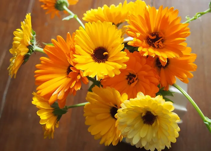 別荘 Maison Tombelaine Vains